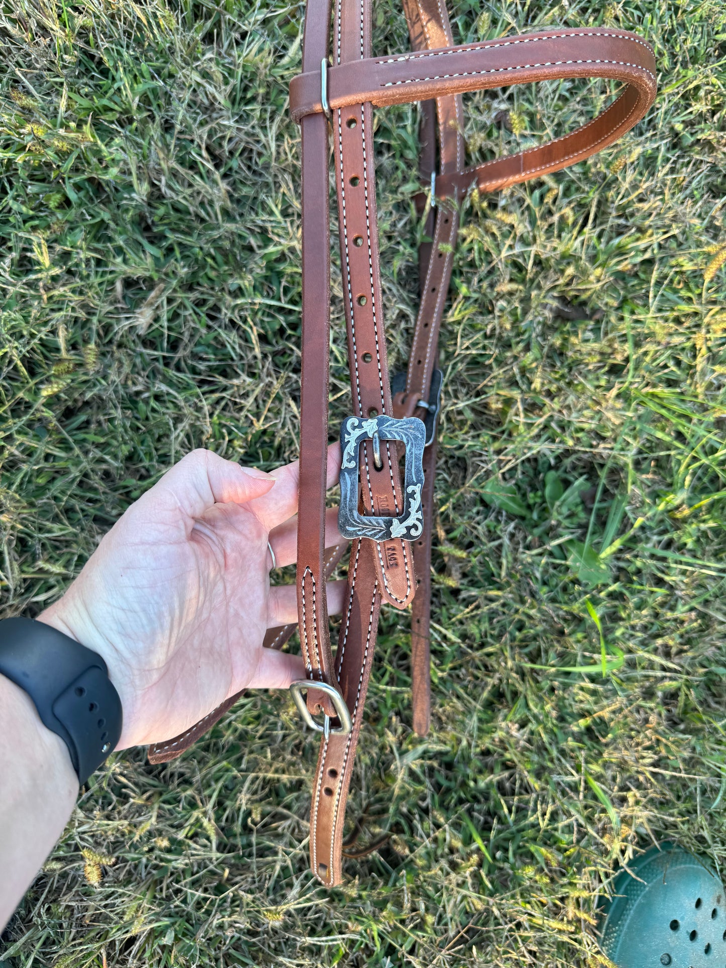 Medium Oil Browband
